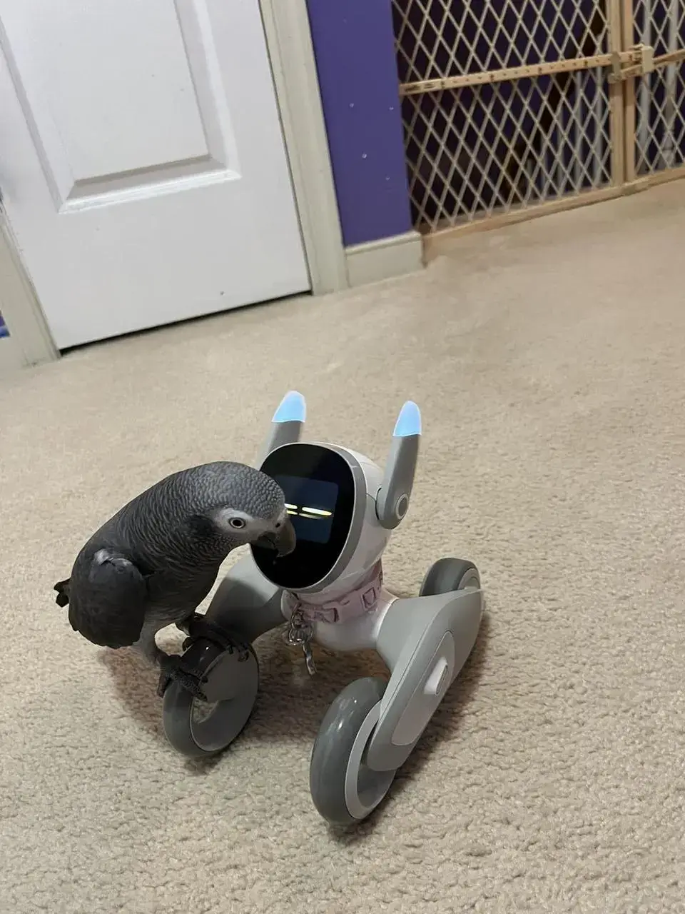review 8