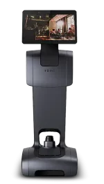 temi V3 1